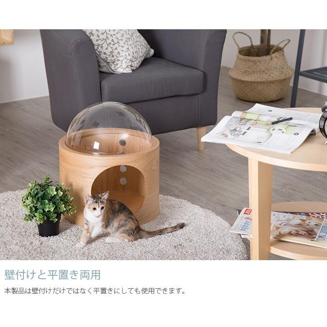 猫 キャットウォーク キャットステップ ベッド ハウス キャットステップ MYZOO マイズー Spaceship Gamma Wood 宇宙船 ガンマ ウッド